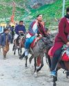 Uncertainty Haunts Pony Walas as Horses Not Allowed to Reopened Spots42