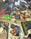 After TMS Report, Vigilance Probe Ordered2