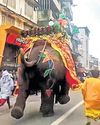 Elephant at Rath Yatra Goes Berserk and Triggers Chaos Among Devotees38