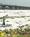Faith unshaken, an emotion called Yamuna13