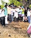 K'taka panchayat outsourced staff not paid for six months19