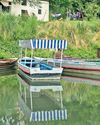 Fog Or Froth, Boat Rides Still A Joy12