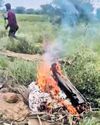 Jaguar on training mission crashes in Raj, two IAF pilots killed6