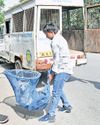 MCD Plans to Set Up 12 Dog Shelters to Stop Stray Menace11