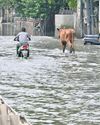 Vanishing pond network leads to Gurugram flooding: Minister18