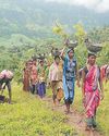 Tribal Forum Seeks Development for 49 Communities in K'taka, Stages Protest The Morning Standard