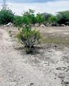 UP govt forms panel to utilise unused NCR land The Morning Standard