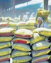 Ultratech to sell 6.5% stake in India Cement The Morning Standard