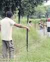 BSF Steps Up Border Vigil on Boats as Sutlej Waters Inundate Punjab Villages The Morning Standard