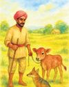 The Bullock that Gave Birth to a Calf The Morning Standard
