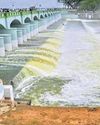 SC rejects TN plea against K’taka on Mekadatu dam29