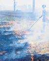 AAP & BJP trade barbs over stubble burning9
