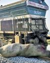 Speeding Rajdhani mows down herd of seven elephants in Assam district5