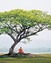Discovering the Divine Connect68
