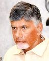 Liquor policy must focus on public interest, not just revenue: Naidu33