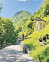 The Host Village of Switzerland65
