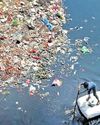 Centre asks Haryana, UP to push water in Yamuna for clean-up1