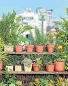 WATERPROOF YOUR TERRACE GARDENS73