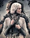 Predator: Badlands to be out on OTT73