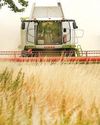 Tariff on agri products to be phased out in 10 years62