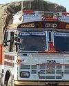 MP districts bordering Maharashtra emerge as transit for illegal cattle trade MP districts bordering Maharashtra emerge as transit for illegal cattle trade33