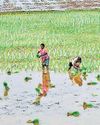 Gadag villagers moving to Kerala, Goa as agri works halt in parts of K’taka dist25