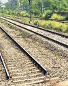 Raj uproar after six camels crushed to death by train near Jaisalmer44