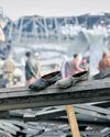 Afghanistan blames Pak for hospital strike that killed 40054