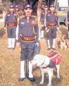 K9 unit gets 54 Labradors, Belgian Malinois7