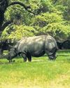 Cooling measures for animals at zoo, but guards left to bear searing heat Cooling measures for animals at zoo, but guards left to bear searing heat21