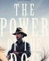 The Power of the Dog leads Oscar pack with 12 nominations, Dune follows with 10 The Power of the Dog leads Oscar pack with 12 nominations, Dune follows with 1011