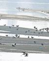 Flock of Egyptian vultures choose Yamuna to roost 1