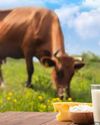 THE BIG MOO-VE Beyond Market