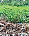 MIRIHANA MARSHLANDS BEING FILLED BY ORGANISED GROUPS9