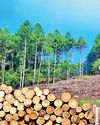 PPA: A UNITED VOICE FOR SRI LANKA'S PRIVATE PLANTERS ASSOCIATION PPA: A UNITED VOICE FOR SRI LANKA'S PRIVATE PLANTERS ASSOCIATION
