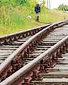 Timber track for greener ride Timber track for greener ride