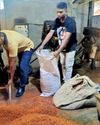 Trader caught making fake spices released on bail Trader caught making fake spices released on bail