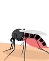 HEALING CHIKUNGUNYA HEALING CHIKUNGUNYA