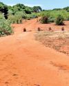 GOVT'S DECISION TO REOPEN ROUTE VIA WILPATTU NP GOVT'S DECISION TO REOPEN ROUTE VIA WILPATTU NP