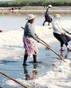 IMPORT DELAYS AND DRY WEATHER SPARKS NATIONWIDE SALT SHORTAGE: PRODUCERS IMPORT DELAYS AND DRY WEATHER SPARKS NATIONWIDE SALT SHORTAGE: PRODUCERS