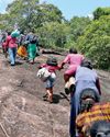 COULD THE INCUMBENT GOVT. RESOLVE DEEP-ROOTED LAND CONFLICTS IN THE NORTH AND EAST?12