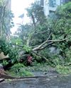 SOUTH WEST MONSOON TO POUR IN VIOLENT TORRENTS IN WESTERN PROVINCE4