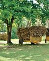 PELWATTE, SEVANAGALA'A SUGAR FACTORIES IN A CRISIS DUE TO MISMANAGEMENT10