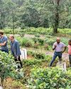 Halgolla Estate pioneers climate-smart agroforestry in Netherlands-backed pilot34