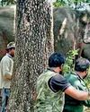 Encouraging mob violence against wildlife officers CALLOUS POLITICAL PRIORITIES PUT FRONTLINE DEFENDERS AT RISK18