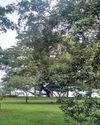HOW BIGWIGS ENCROACHED PARAKRAMA SAMUDRAYA TO BUILD A HOTEL AND GARDEN15