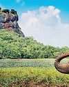Indian tourist influx pushes Sri Lanka pass 1.6mn arrivals22