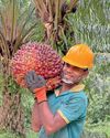 Palm oil ban deepens forex drain for SL, industry warns18