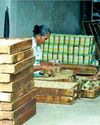 Falling beedi revenue due to lack of cohesive strategy42