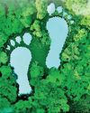 LB Finance joins PCAF to strengthen climate action in financial sector30